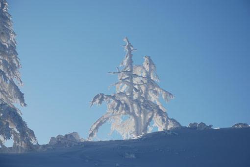 Haus Petersmann Hotell Ramsau am Dachstein Exteriör bild